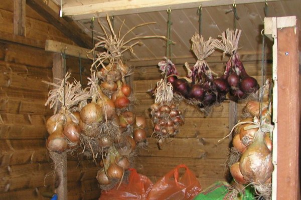 Кракен официальный сайт ссылка