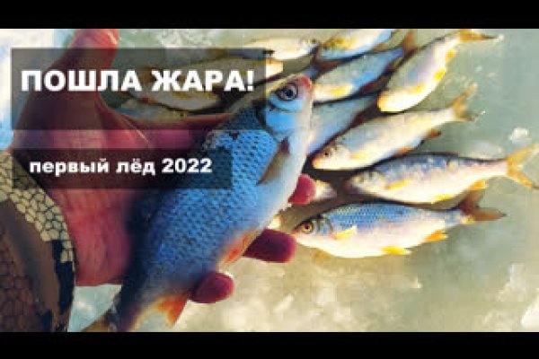 Kraken сайт kraken torion