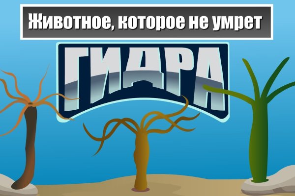 Ссылка на кракен тор kraken2 4aa337