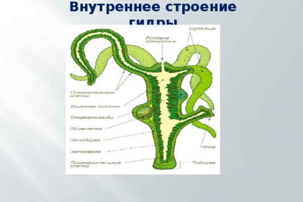 Кракен дарк ссылка