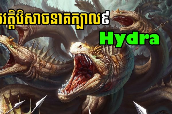 Kraken актуальные зеркала krakentor site