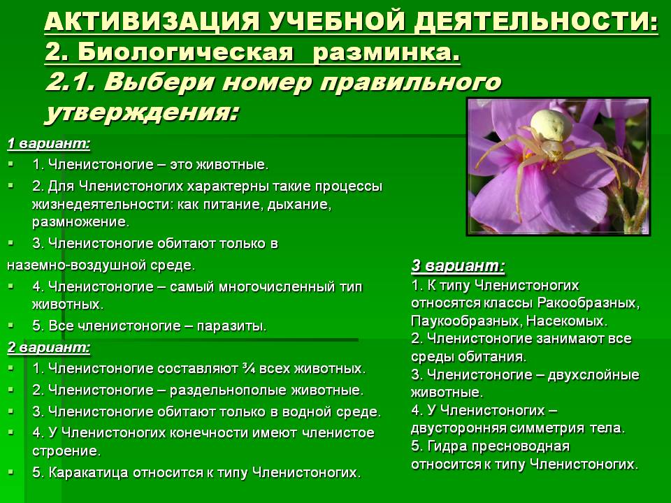Ссылки на кракен мегу